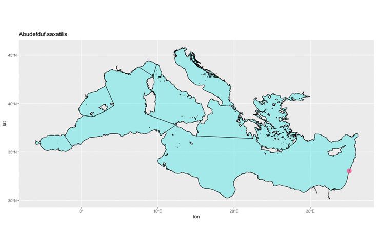 species observation maps gif